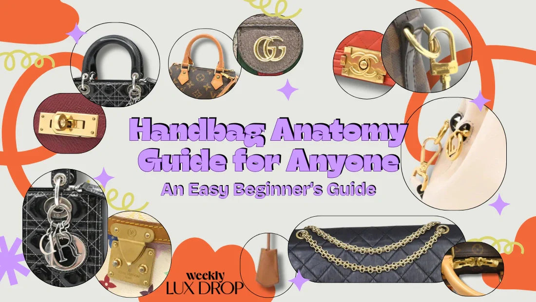 Handbag Anatomy Guide for Anyone: An Easy Beginner's Guide