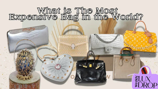 What Is The Most Expensive Bag In The World? 5 To Know