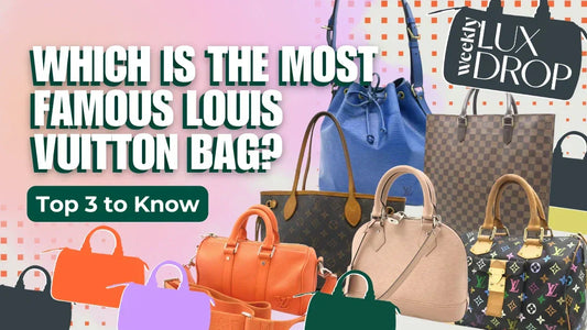 Most Famous Louis Vuitton Bag Thumbnail
