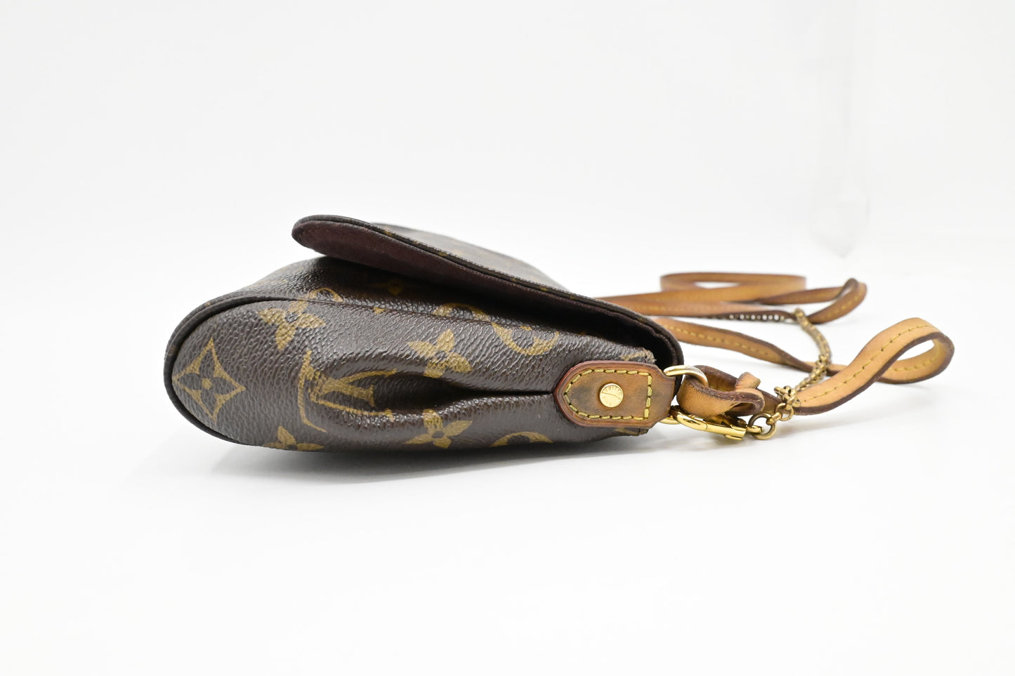 Louis Vuitton Favorite MM in Monogram Canvas