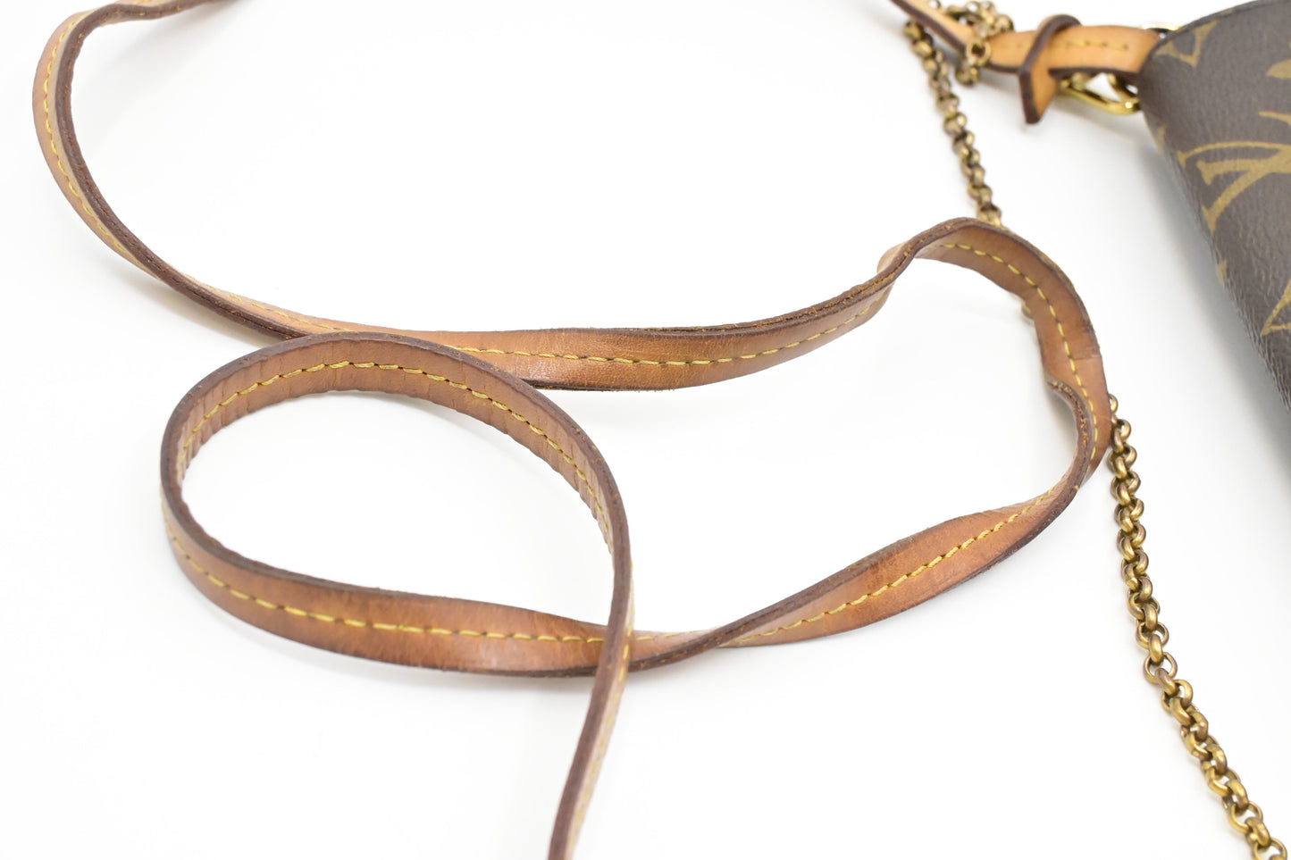 Louis Vuitton Favorite MM in Monogram Canvas