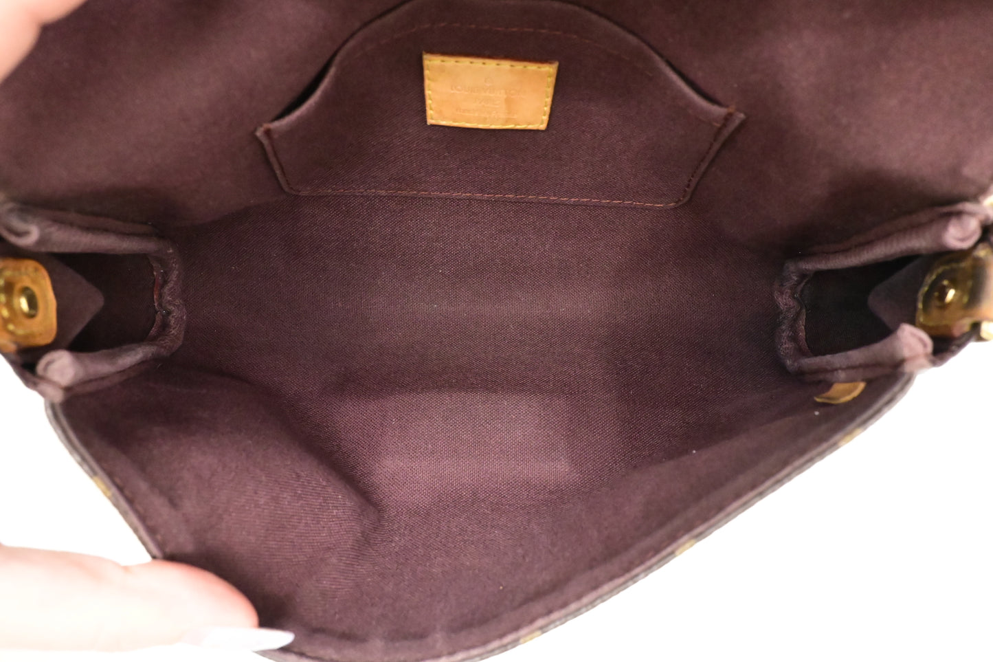 Louis Vuitton Favorite MM in Monogram Canvas