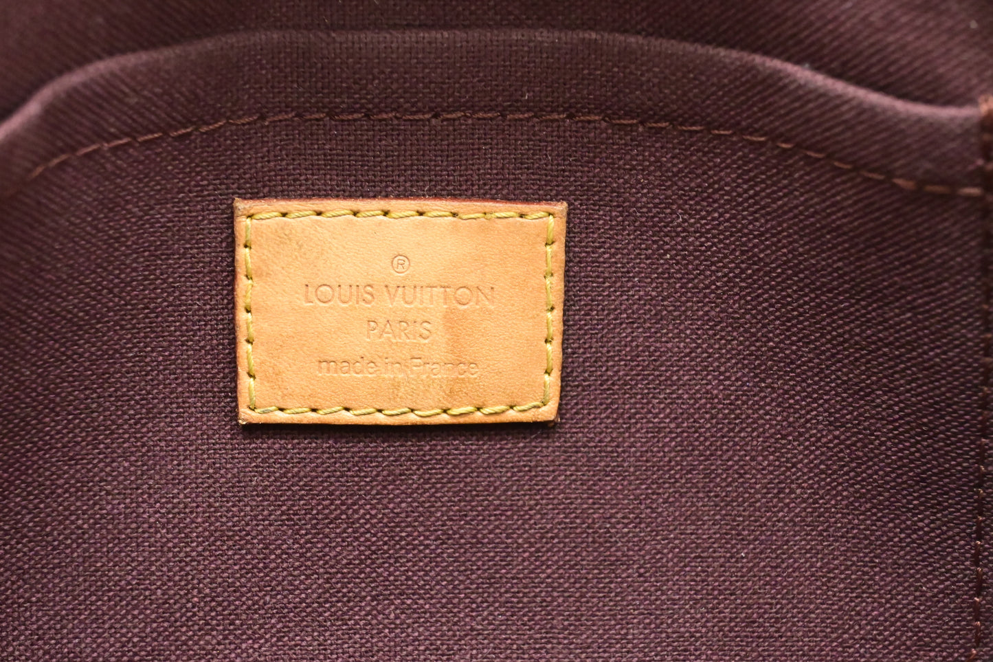 Louis Vuitton Favorite MM in Monogram Canvas