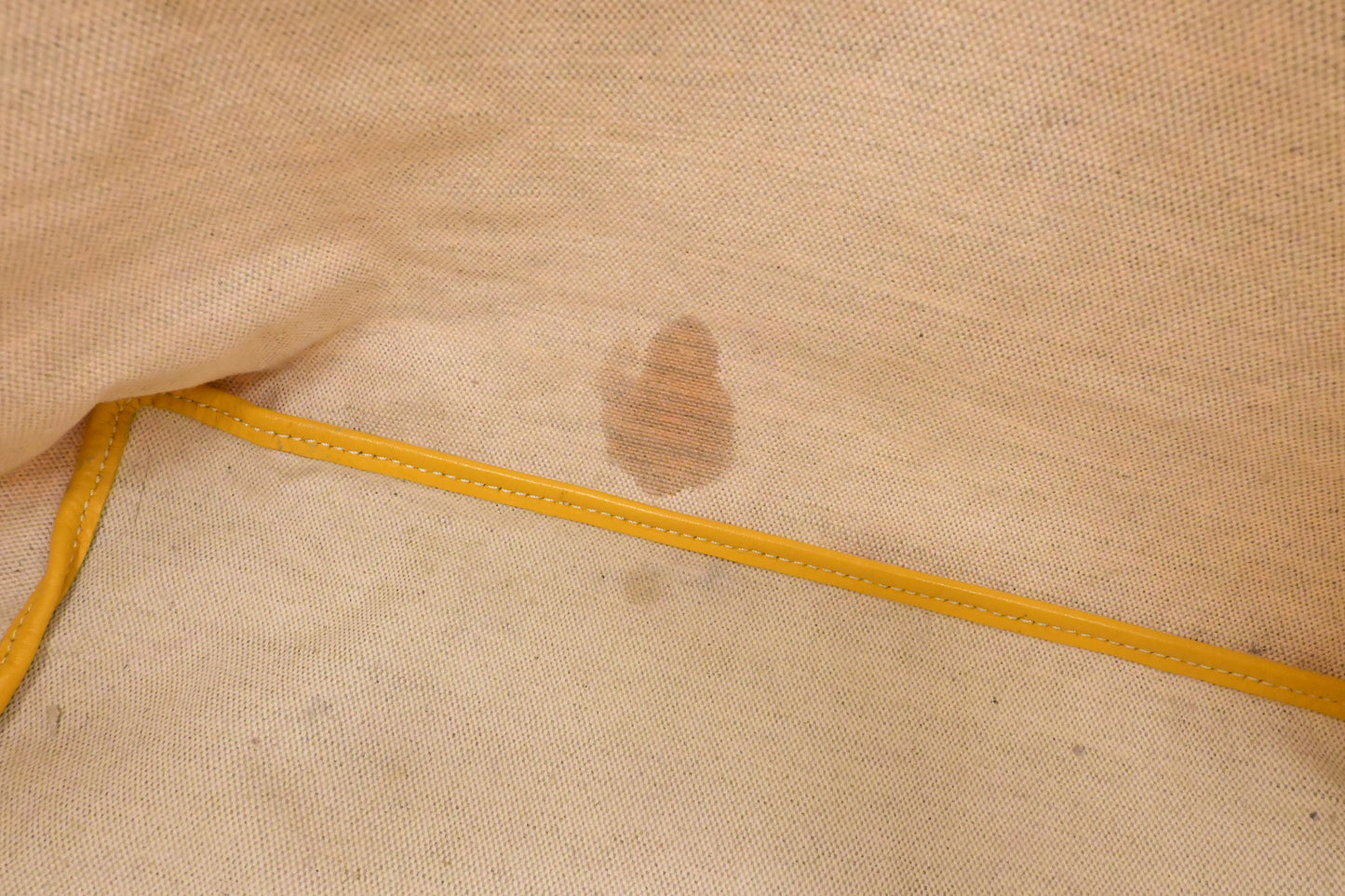 Goyard Saint Louis PM in Yellow Goyardine Canvas