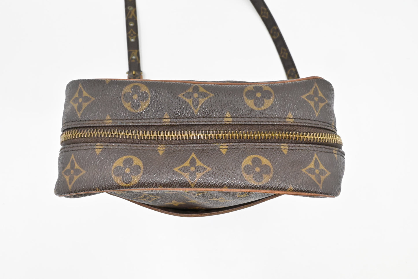 Louis Vuitton Danube MM in Monogram Canvas