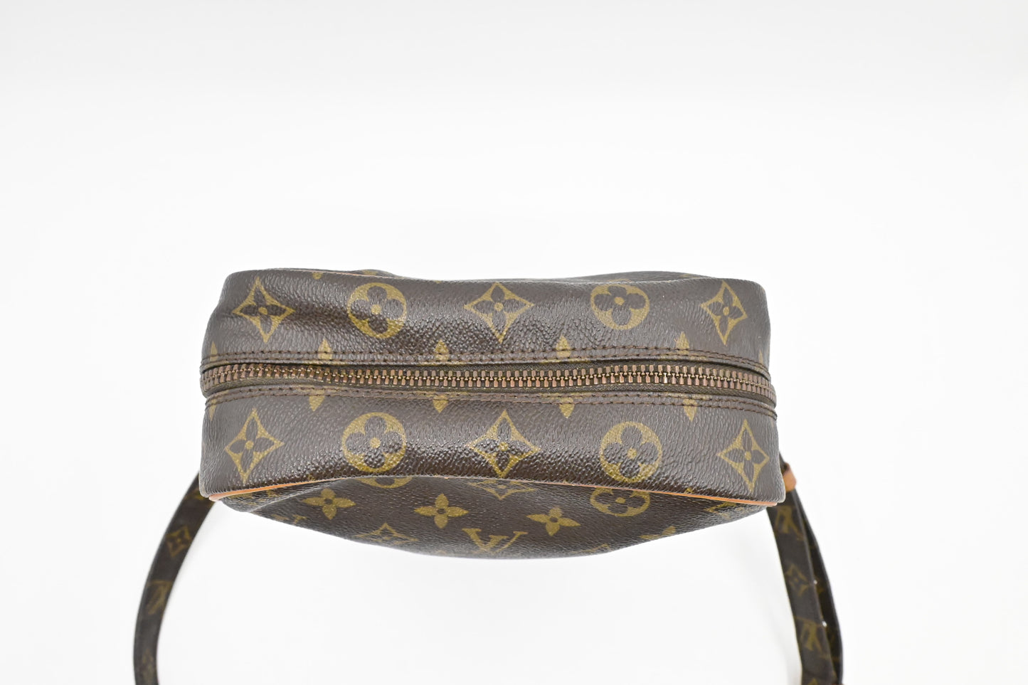 Louis Vuitton Danube GM in Monogram Canvas