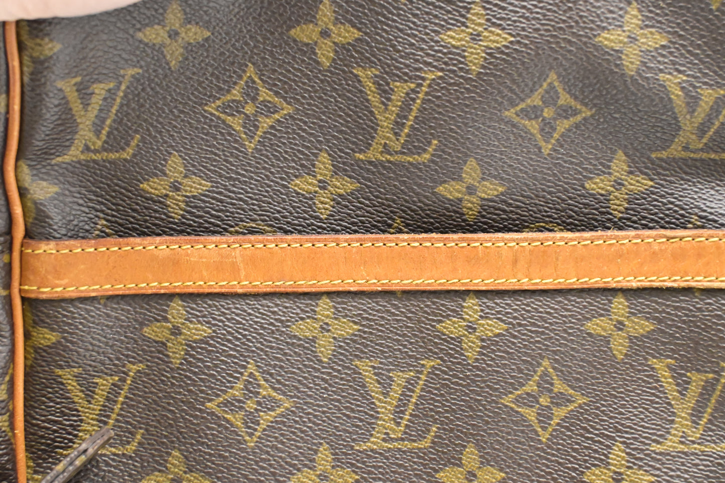 Louis Vuitton Danube GM in Monogram Canvas