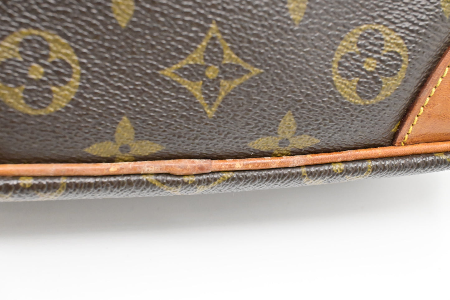 Louis Vuitton Danube GM in Monogram Canvas