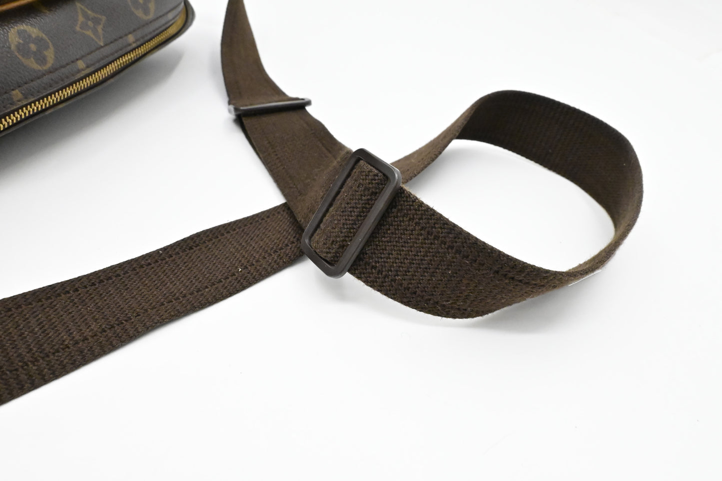 Louis Vuitton Reporter PM in Monogram Canvas