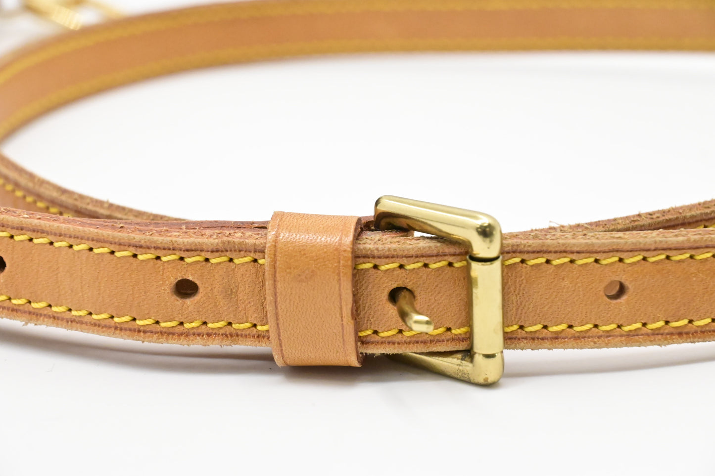 Louis Vuitton Palermo PM in Monogram Canvas