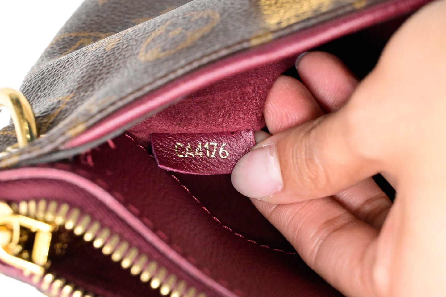Louis Vuitton Pallas BB in Monogram Canvas & Raisin Leather