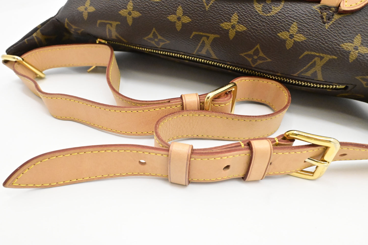 Louis Vuitton Bumbag in Monogram Canvas