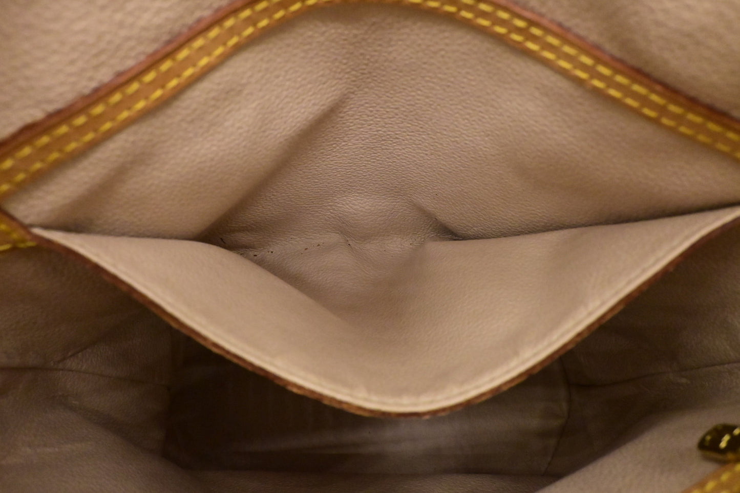 Louis Vuitton Bucket PM in Monogram Canvas