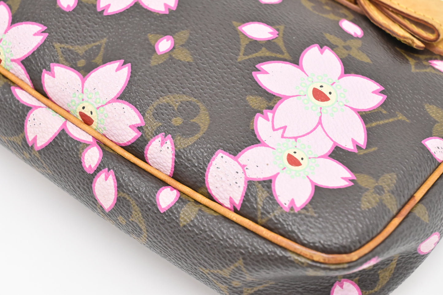 Louis Vuitton x Takashi Murakami Pochette Accessoires in Cherry Blossom Monogram Canvas