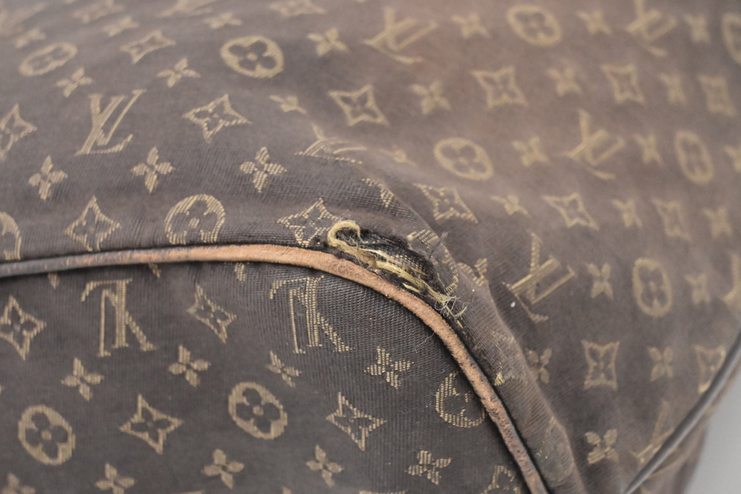 Louis Vuitton Neverfull MM in Fusain Mini Lin Canvas