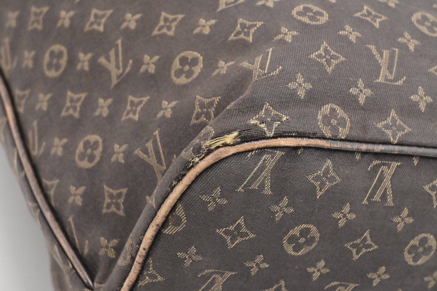 Louis Vuitton Neverfull MM in Fusain Mini Lin Canvas