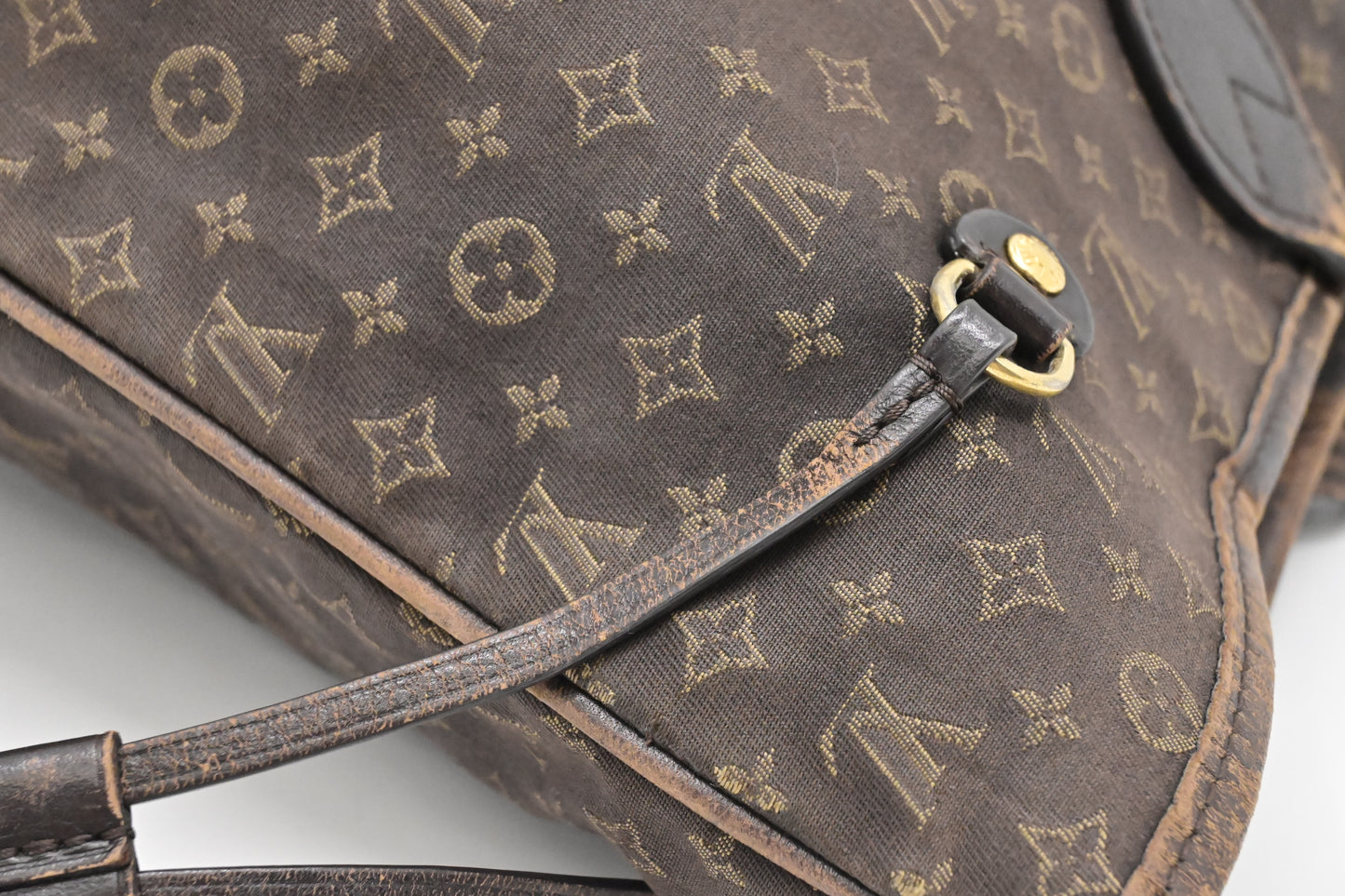 Louis Vuitton Neverfull MM in Fusain Mini Lin Canvas