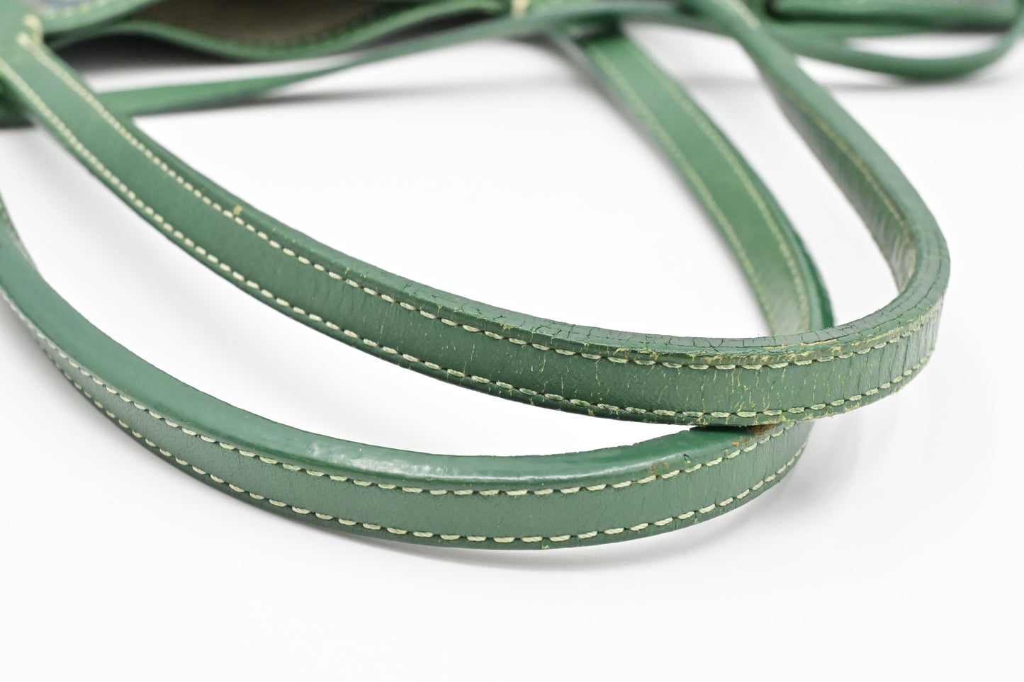 Goyard Saint Louis PM in Green Goyardine Canvas