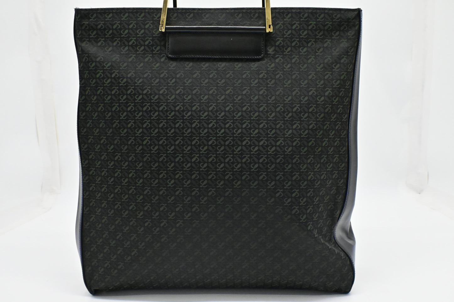 Loewe Anagram Tote in Black & Green Canvas