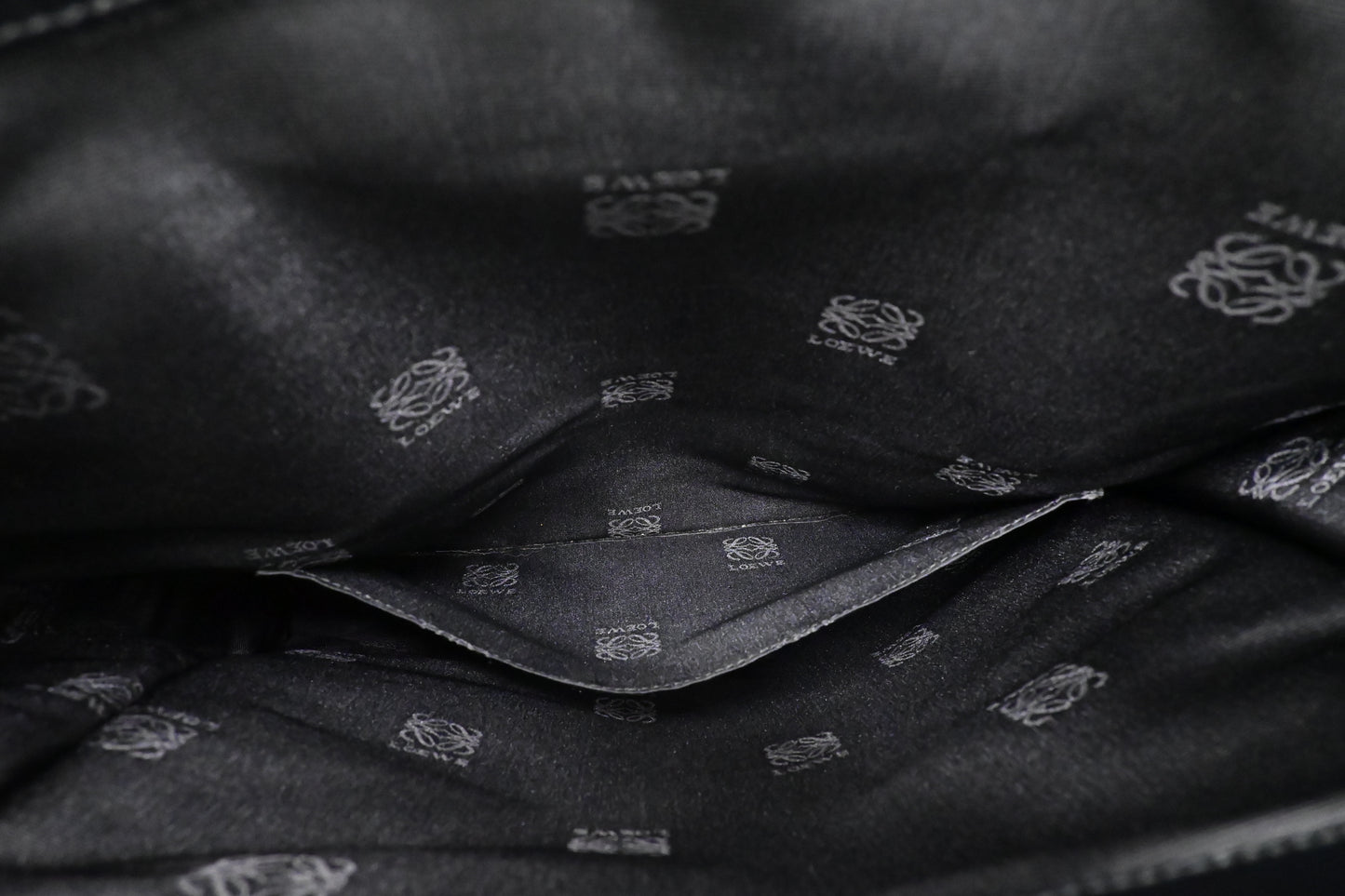 Loewe Anagram Tote in Black & Green Canvas