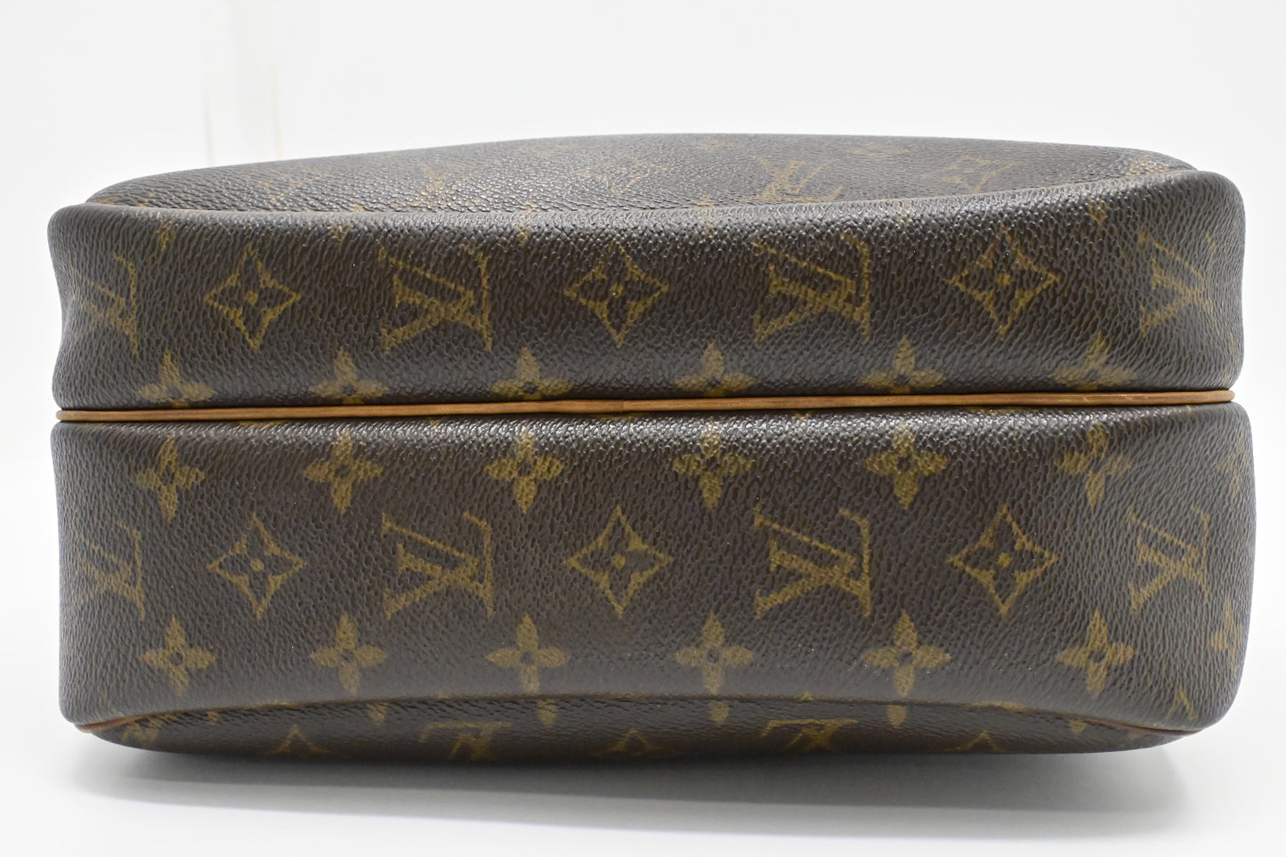 Louis Vuitton Reporter PM in Monogram Canvas