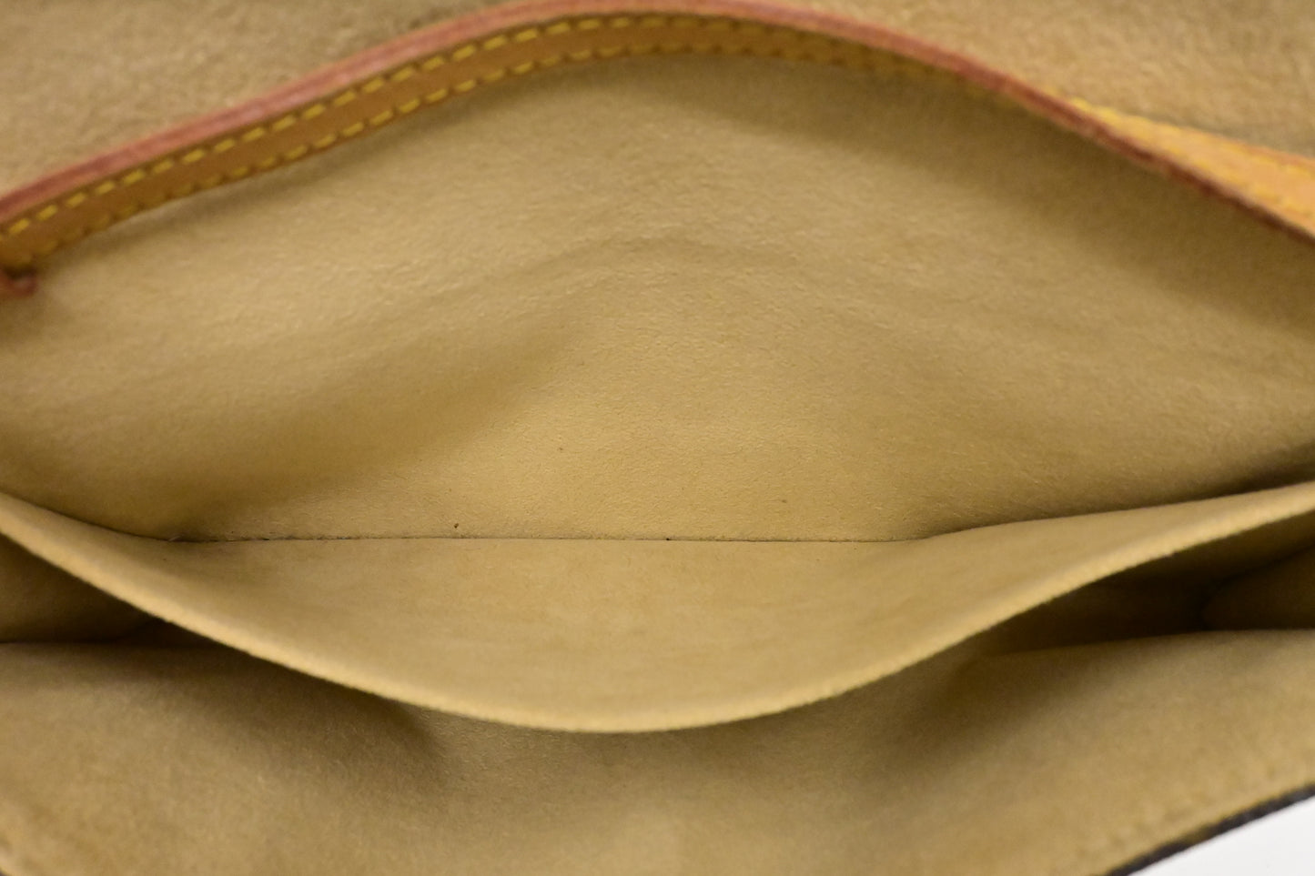 Louis Vuitton Pochette Twin in Monogram Canvas