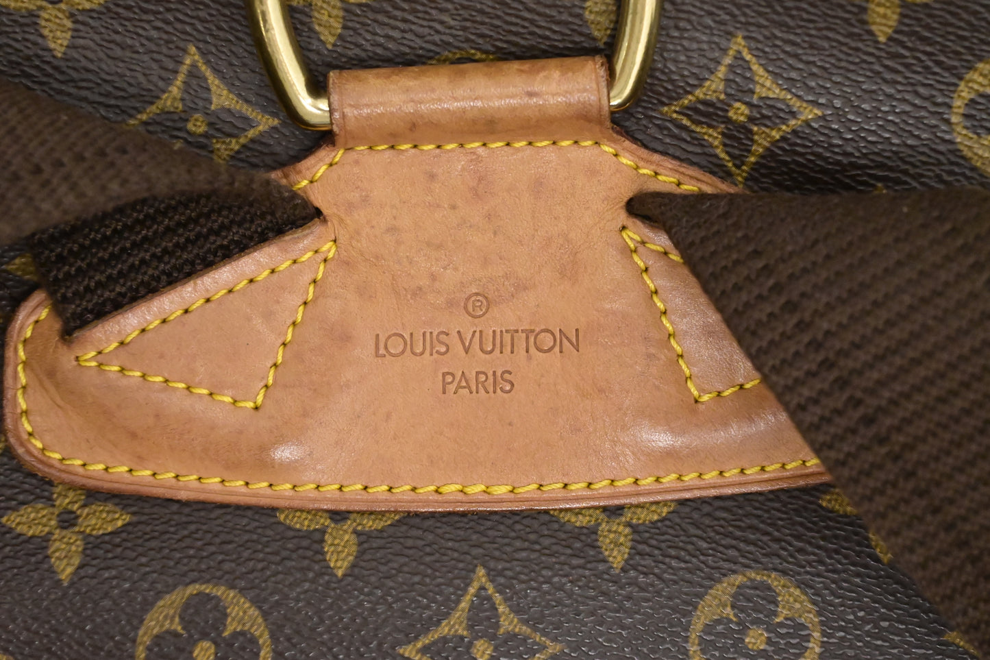 Louis Vuitton Montsouris GM in Monogram Canvas