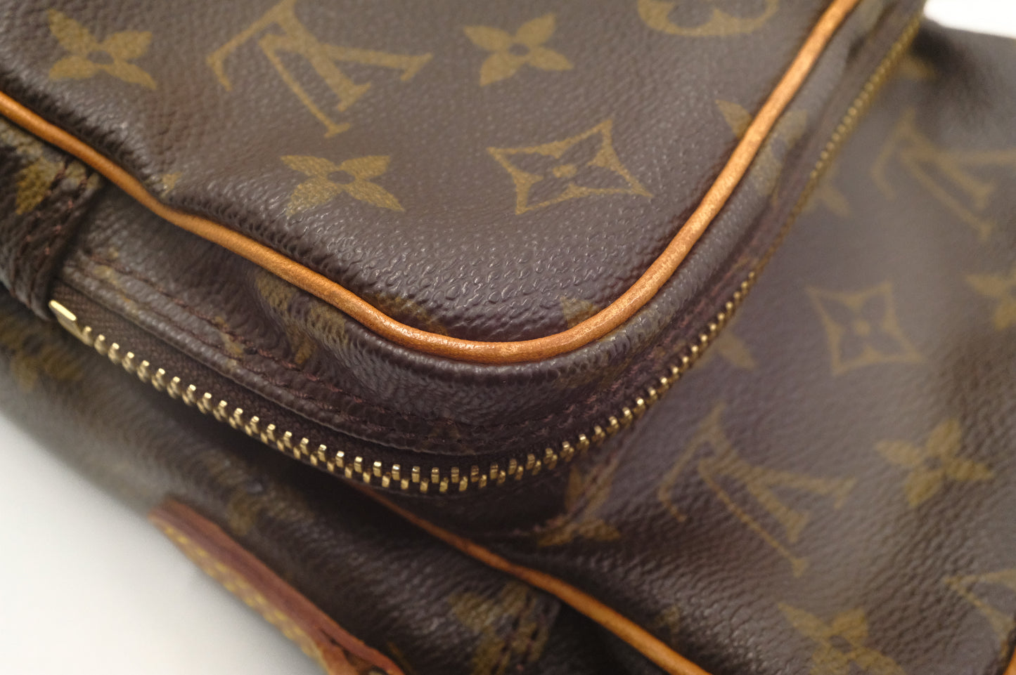 Louis Vuitton Amazone in Monogram Canvas