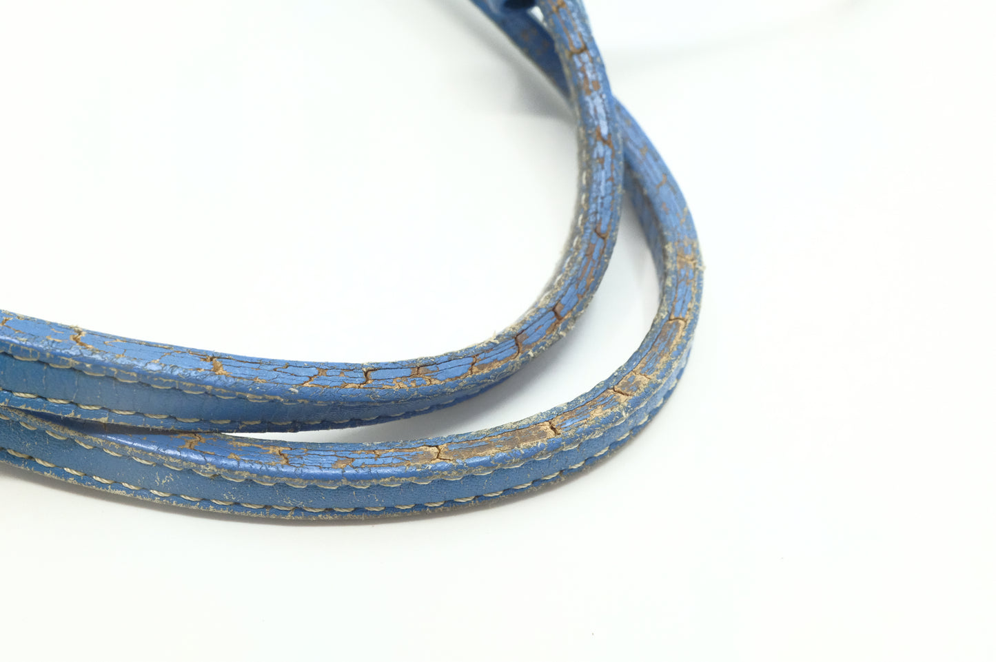 Goyard Saint Louis PM in Blue Goyardine Canvas