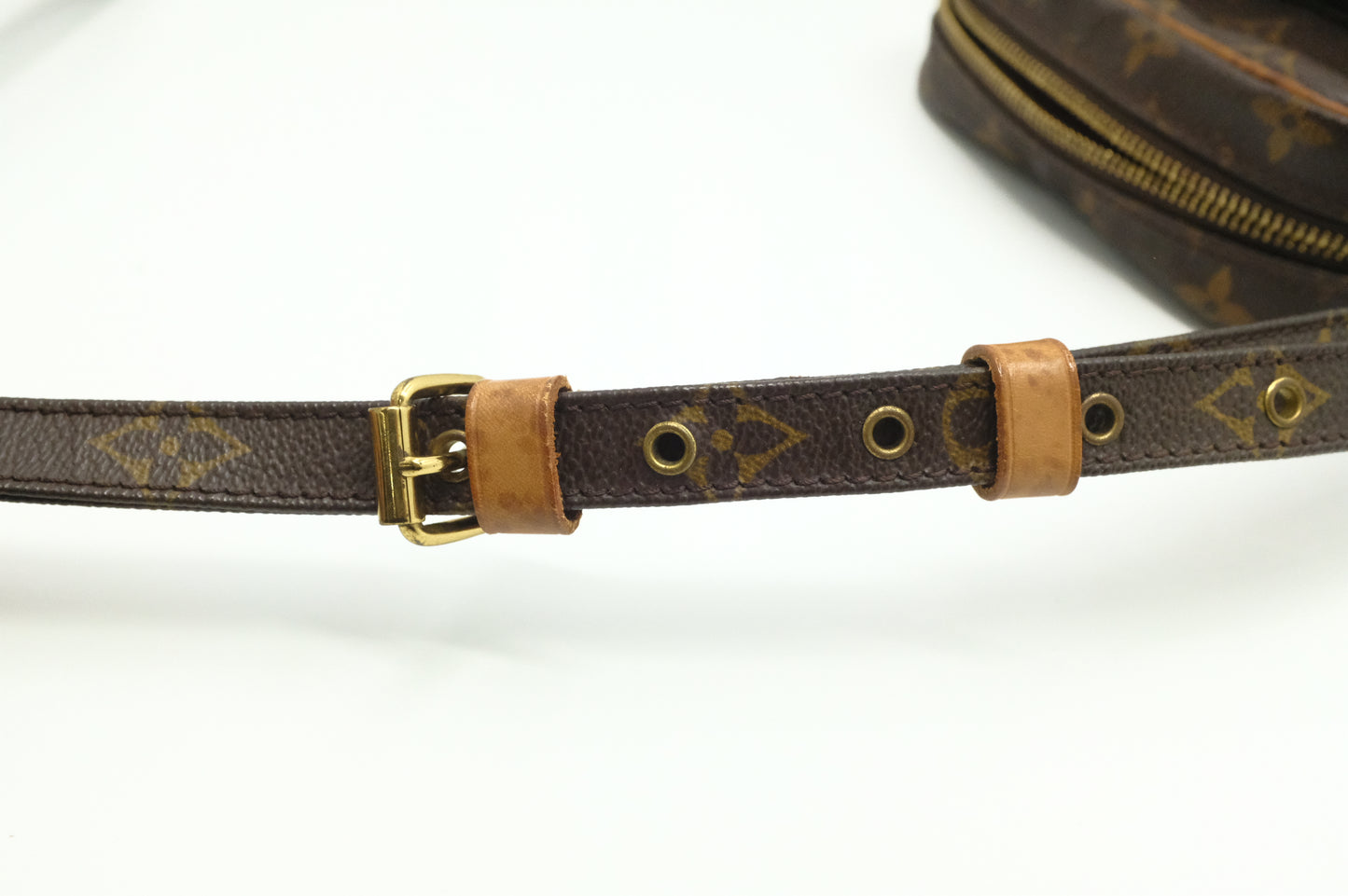 Louis Vuitton Amazone PM in Monogram Canvas