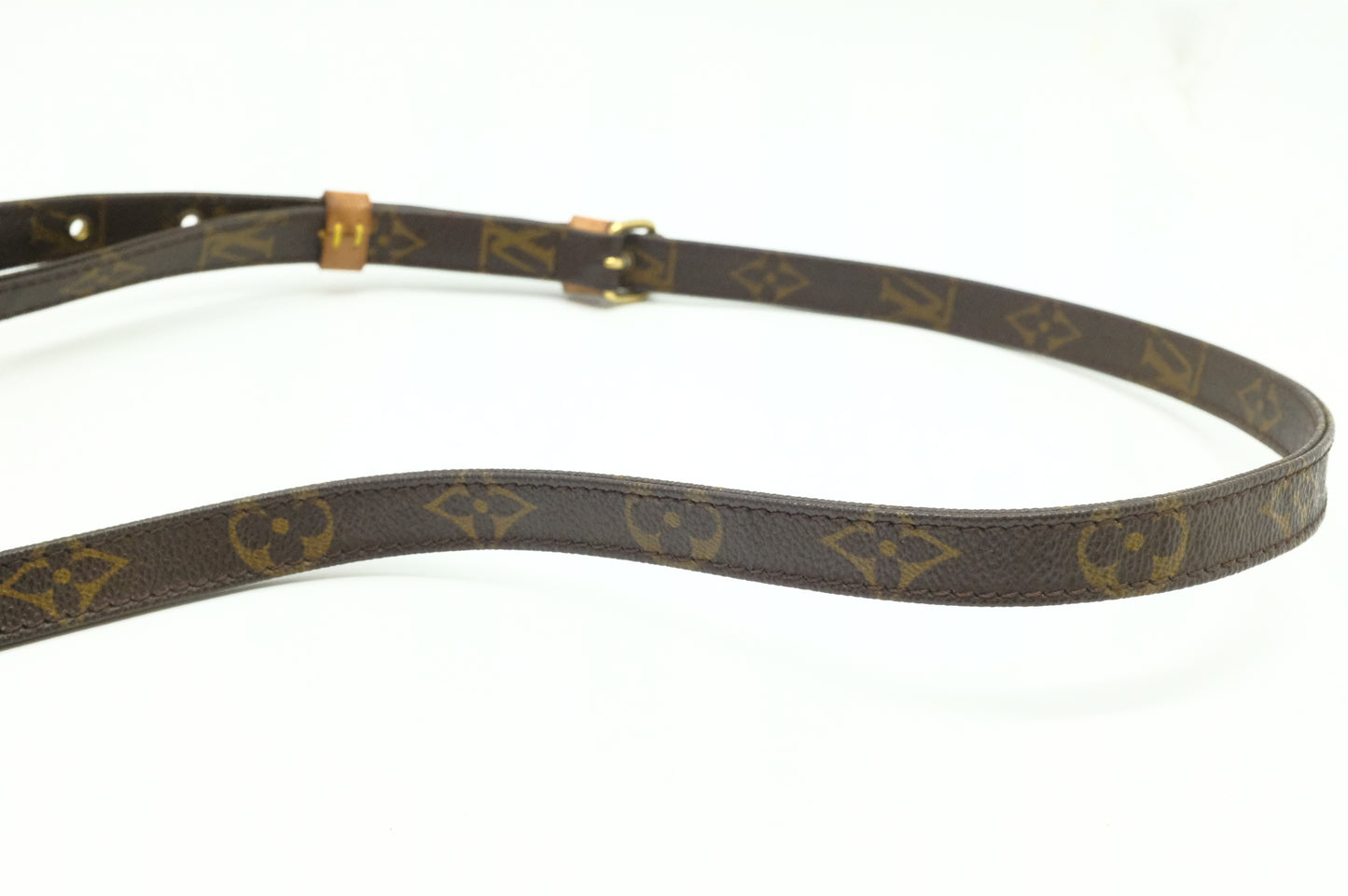 Louis Vuitton Amazone PM in Monogram Canvas