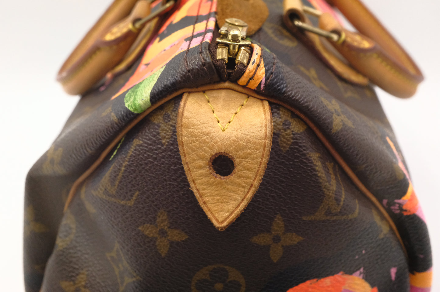 Louis Vuitton x Stephen Sprouse Speedy 30 Roses in Monogram Canvas