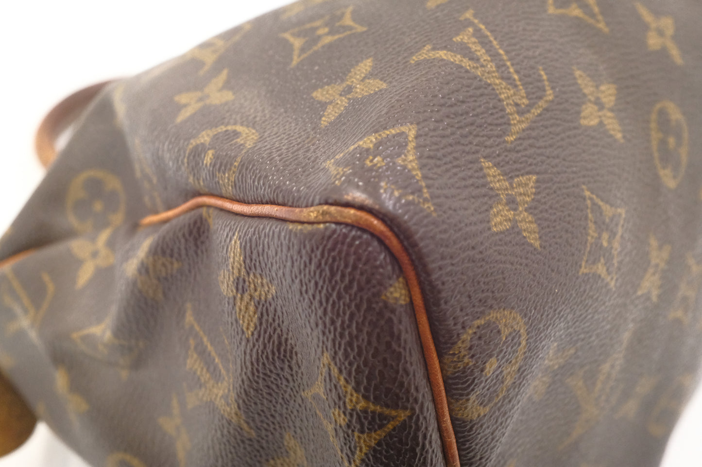 Louis Vuitton Speedy 25 in Monogram Canvas