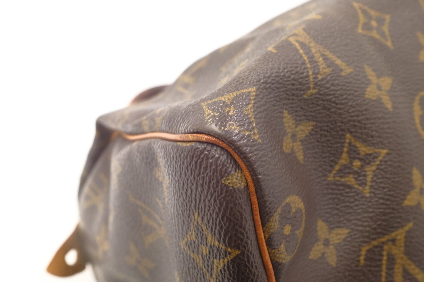 Louis Vuitton Speedy 25 in Monogram Canvas