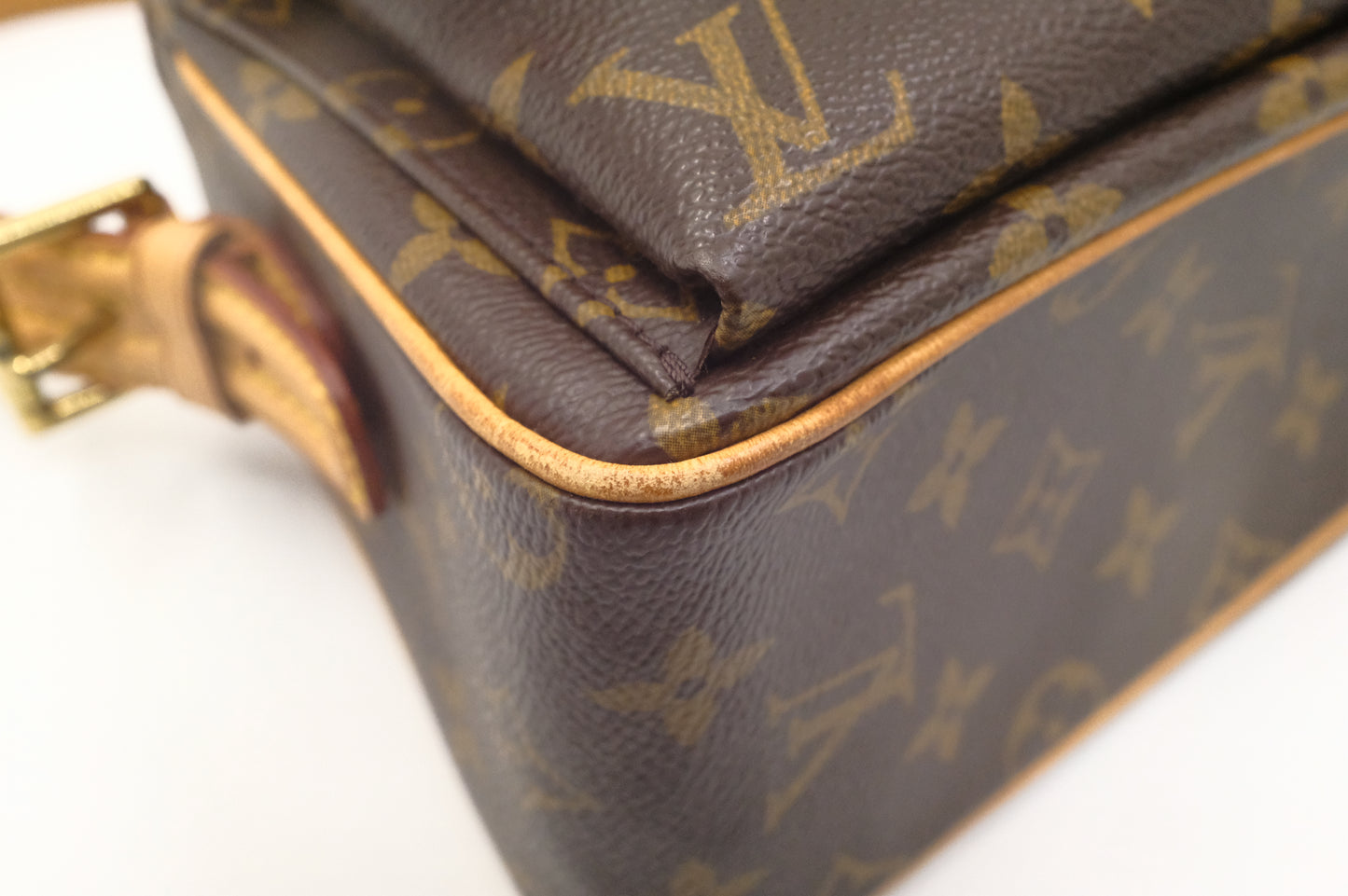 Louis Vuitton Viva Cité MM in Monogram Canvas