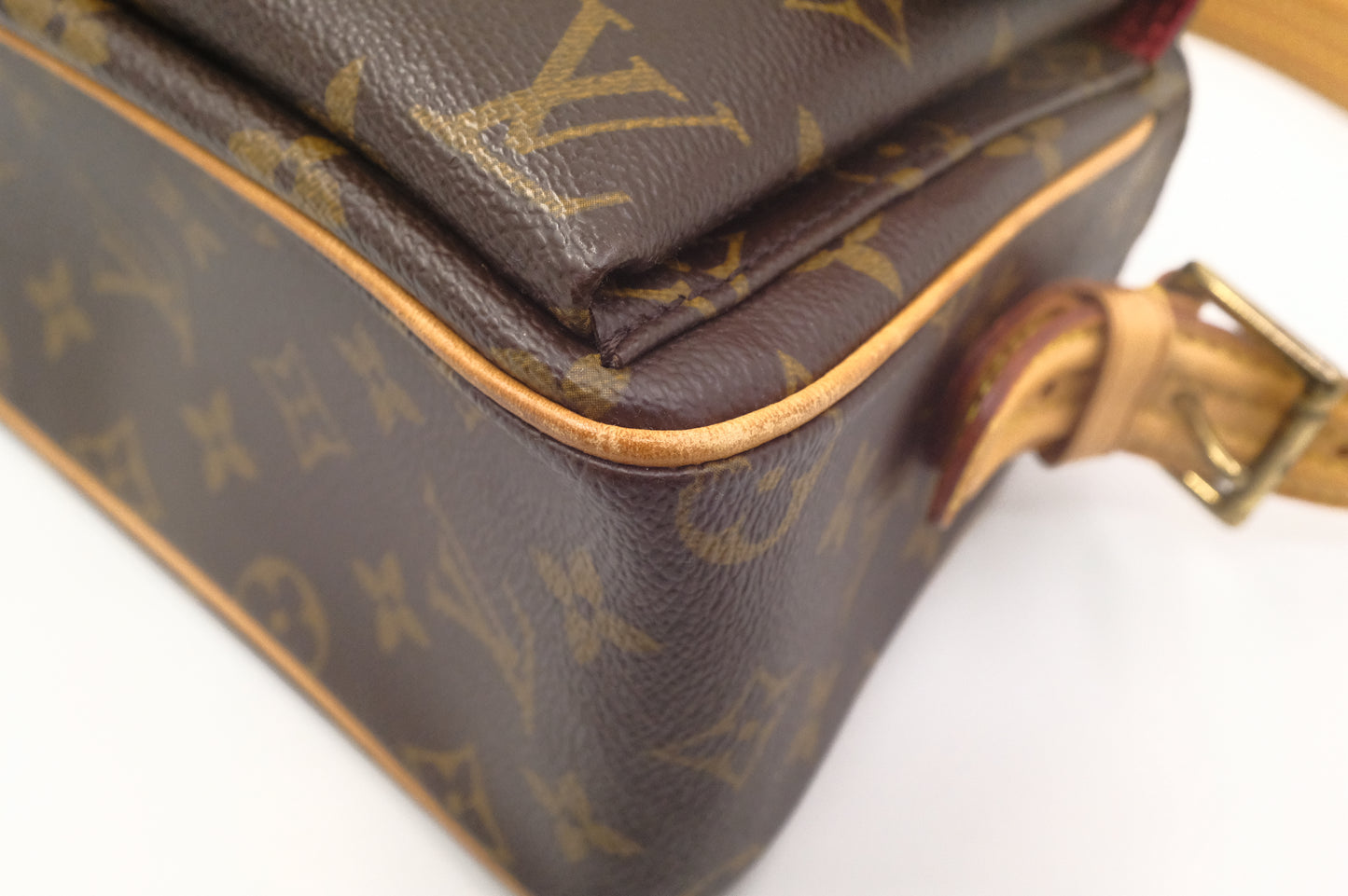 Louis Vuitton Viva Cité MM in Monogram Canvas