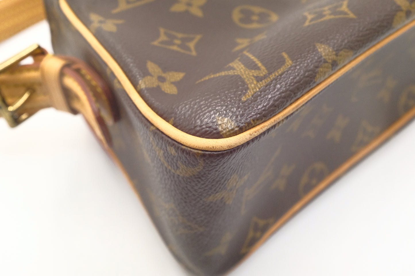Louis Vuitton Viva Cité MM in Monogram Canvas