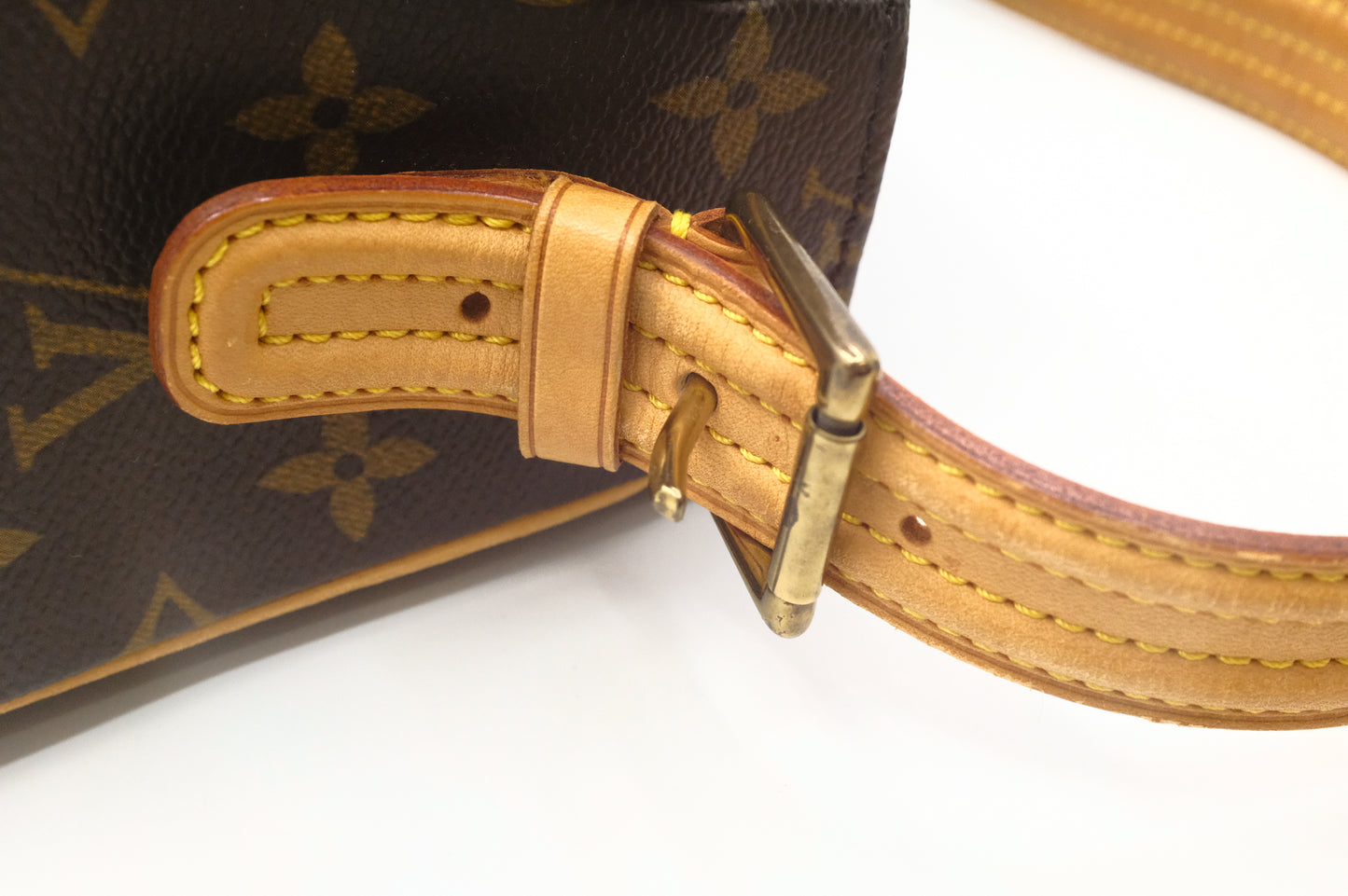 Louis Vuitton Viva Cité MM in Monogram Canvas