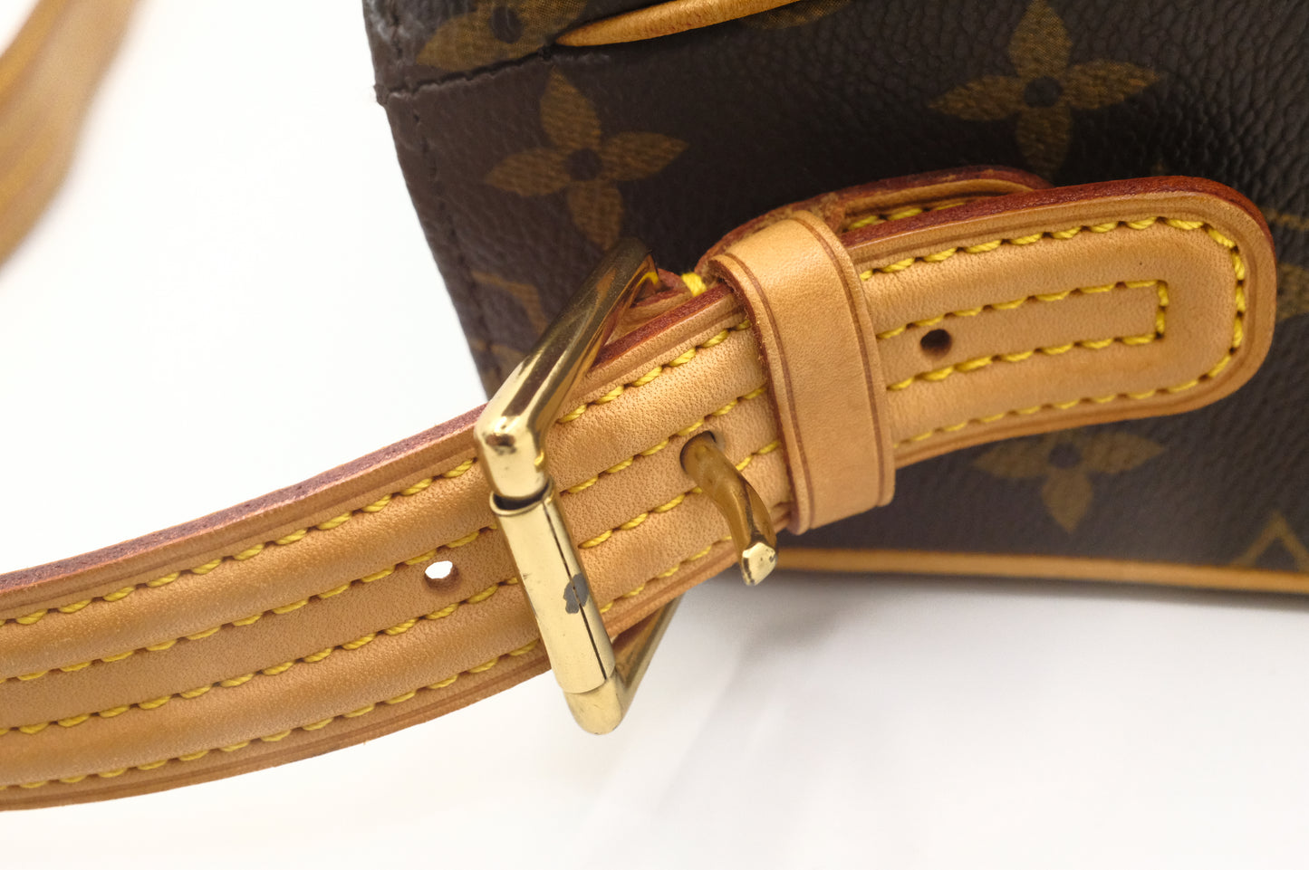 Louis Vuitton Viva Cité MM in Monogram Canvas