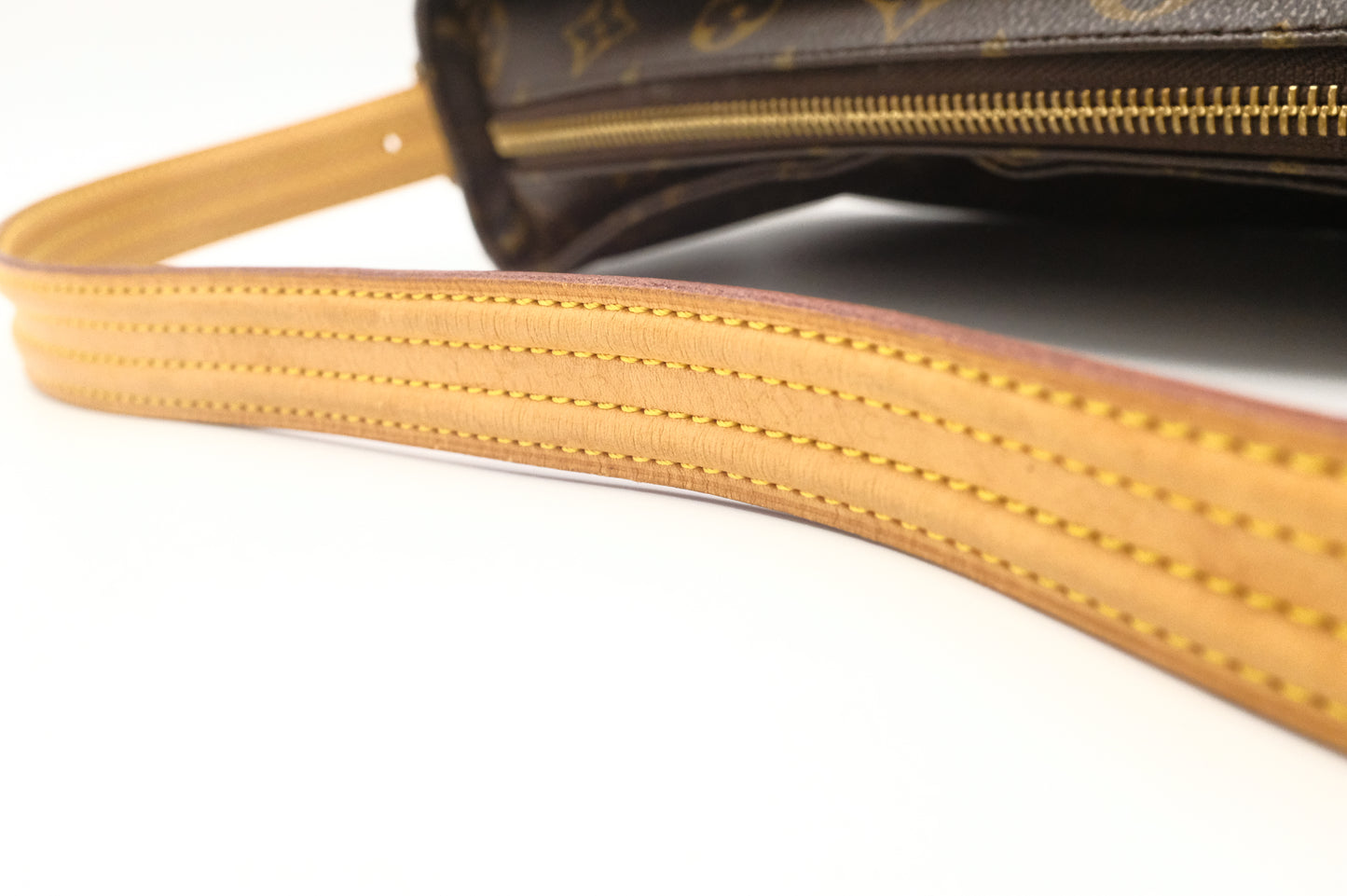 Louis Vuitton Viva Cité MM in Monogram Canvas