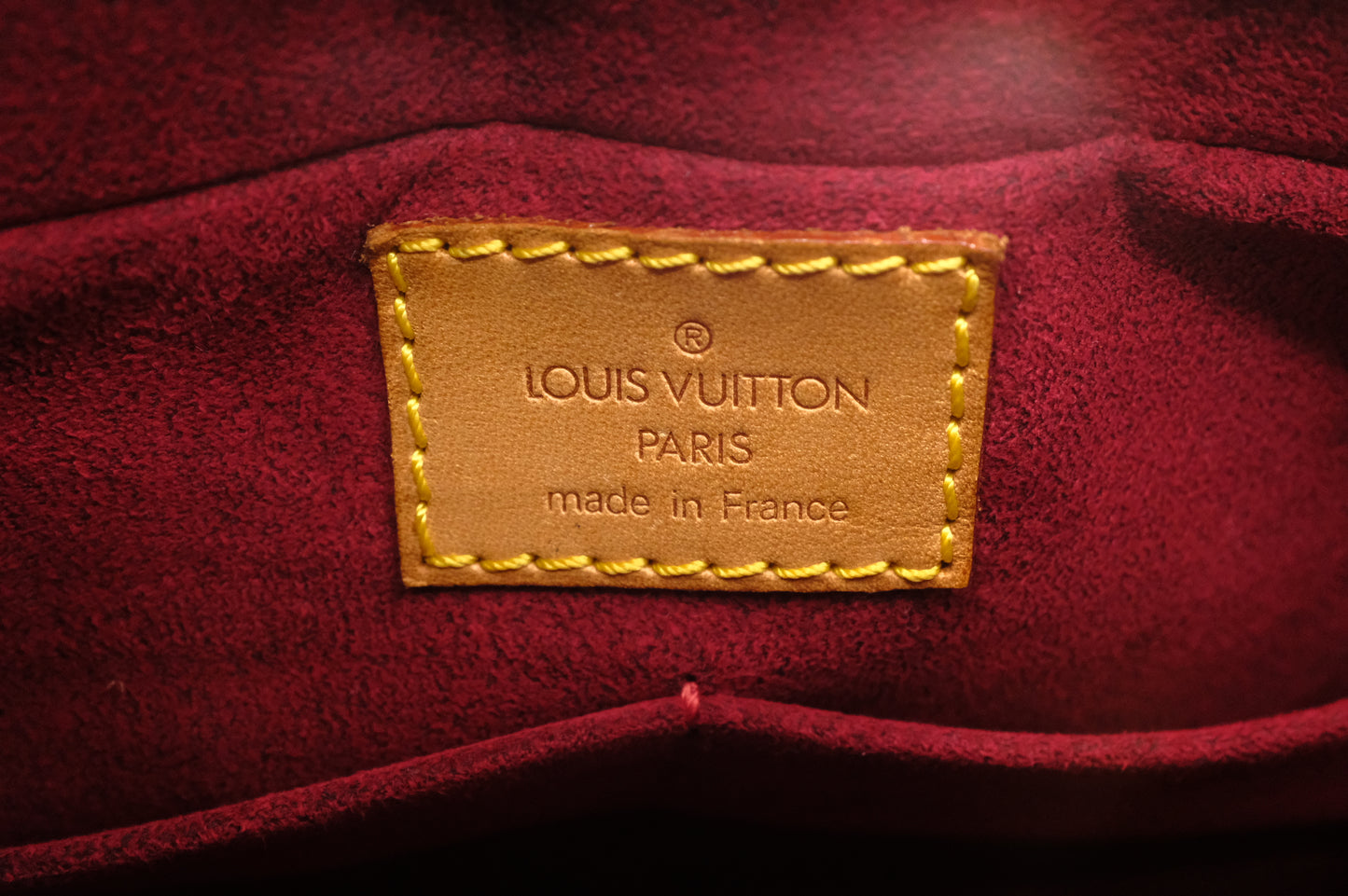 Louis Vuitton Viva Cité MM in Monogram Canvas
