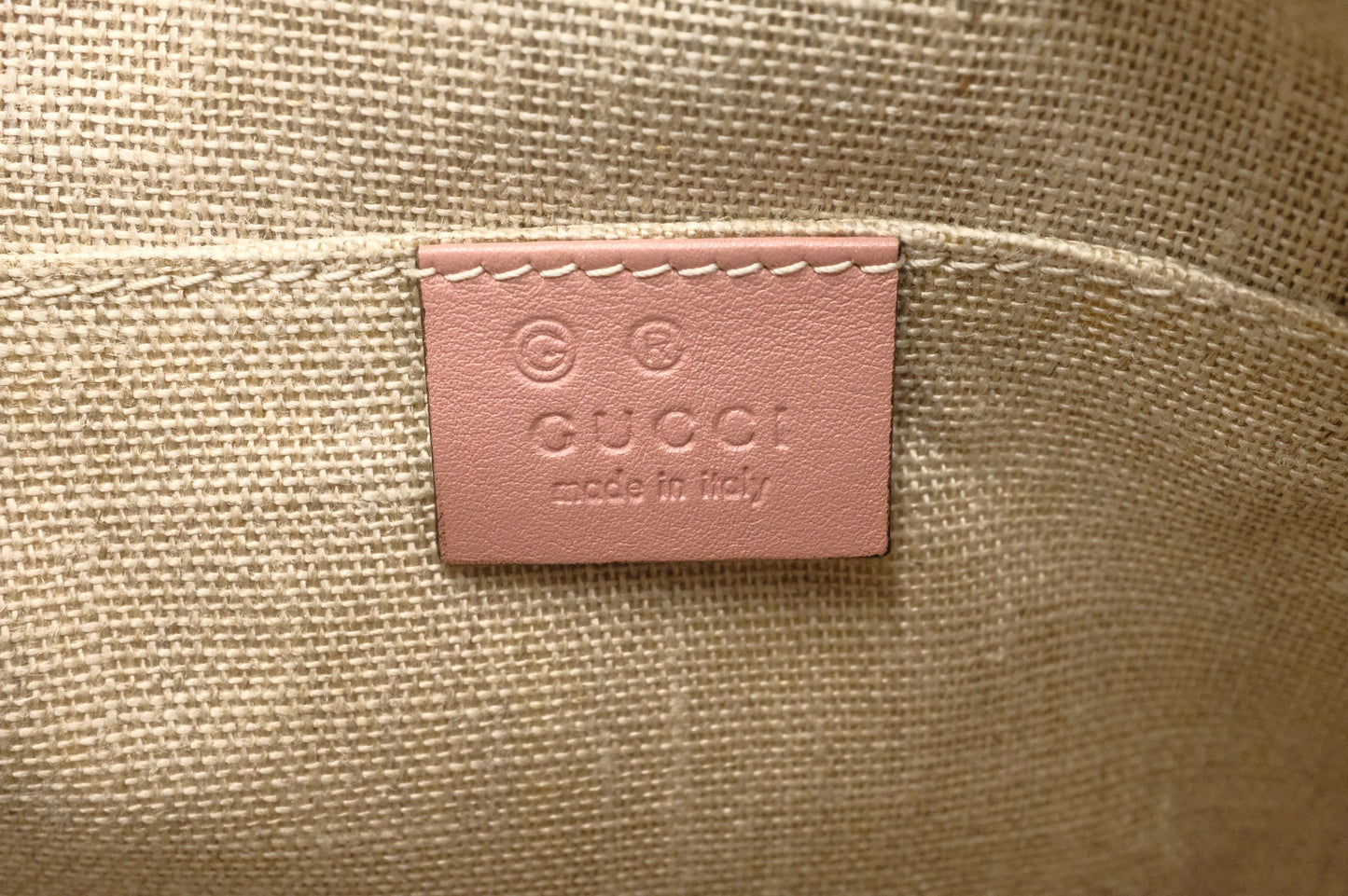 Gucci Mini Dome 2way Bag in Pink Micro Guccissima Leather
