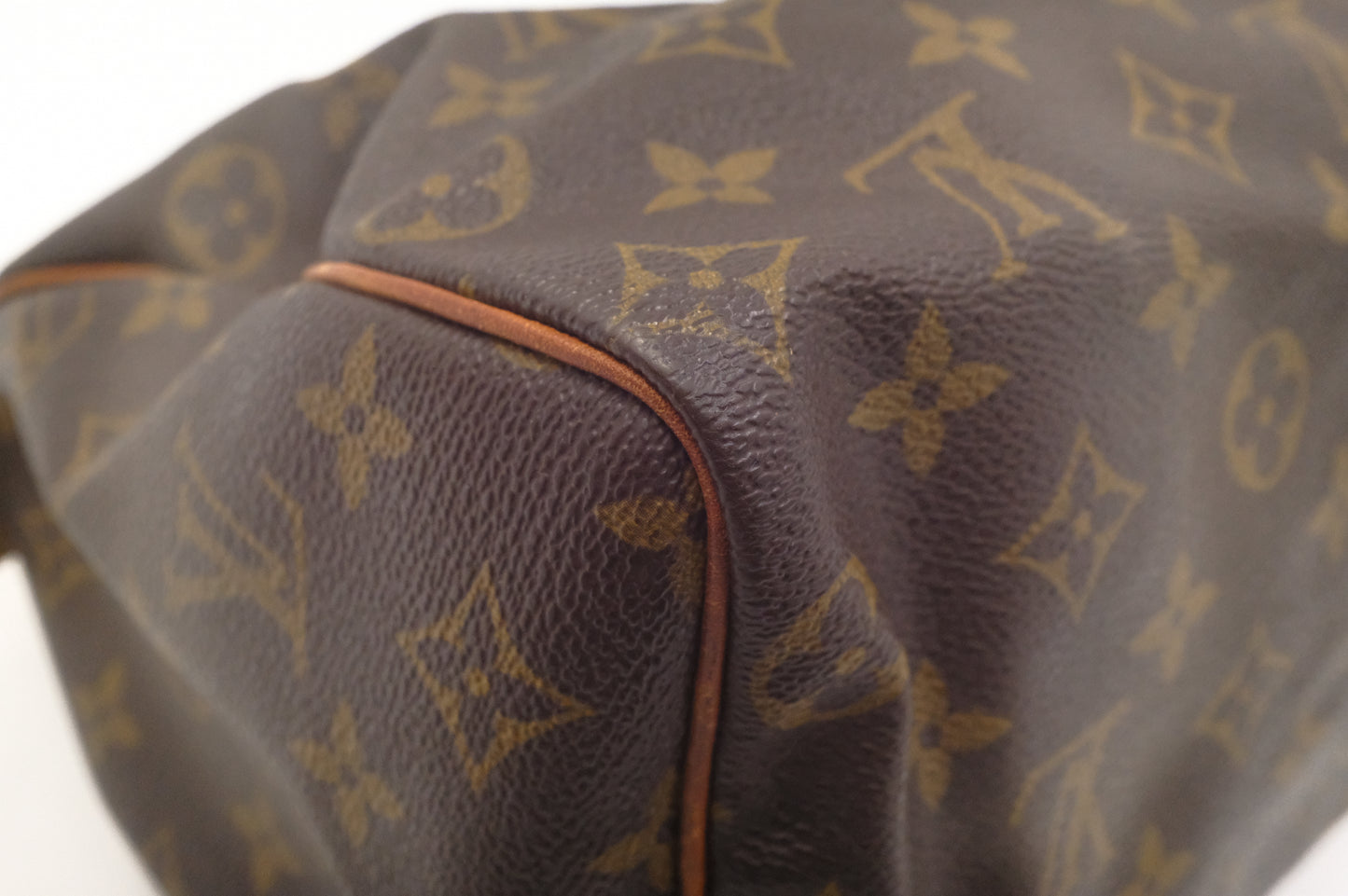 Louis Vuitton Speedy 25 in Monogram Canvas