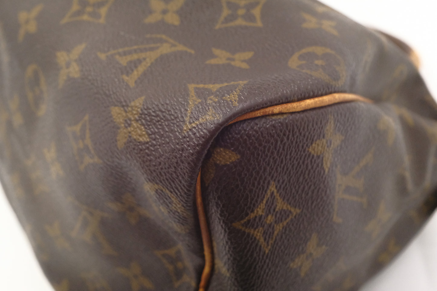 Louis Vuitton Speedy 25 in Monogram Canvas