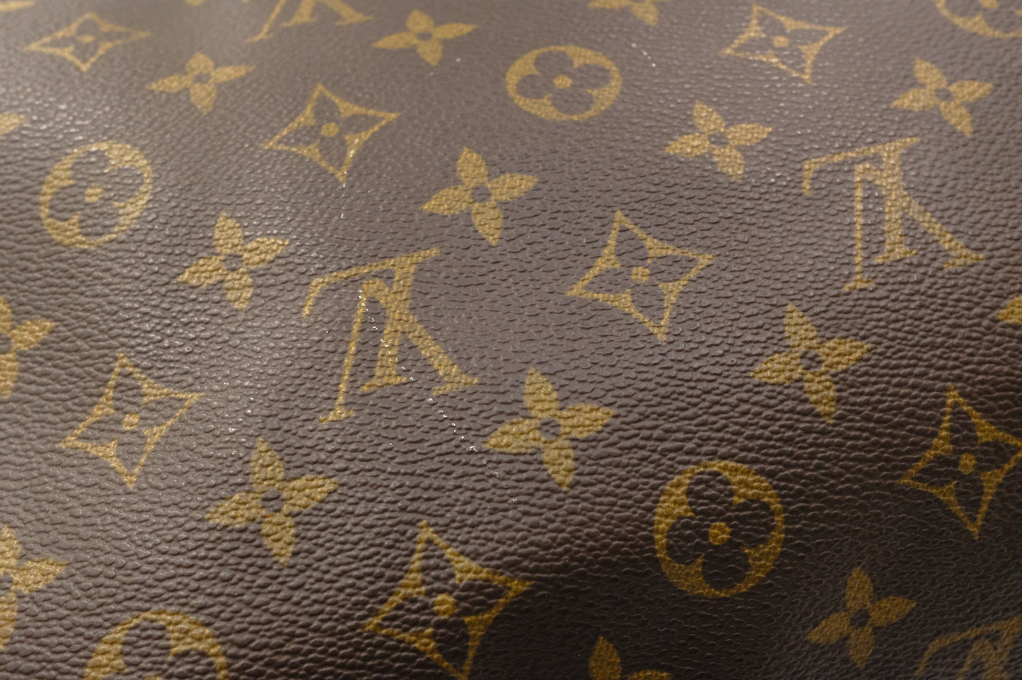 Louis Vuitton Speedy 40 in Monogram Canvas