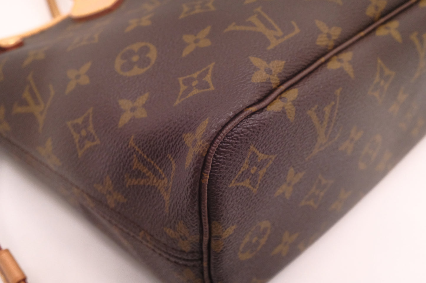 Louis Vuitton Neverfull PM in Monogram Canvas