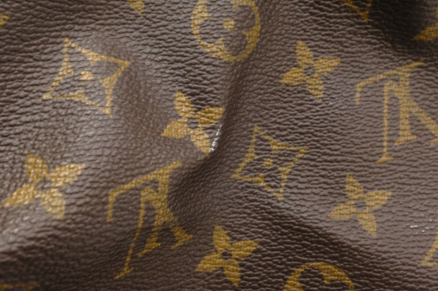 Louis Vuitton Speedy 40 in Monogram Canvas