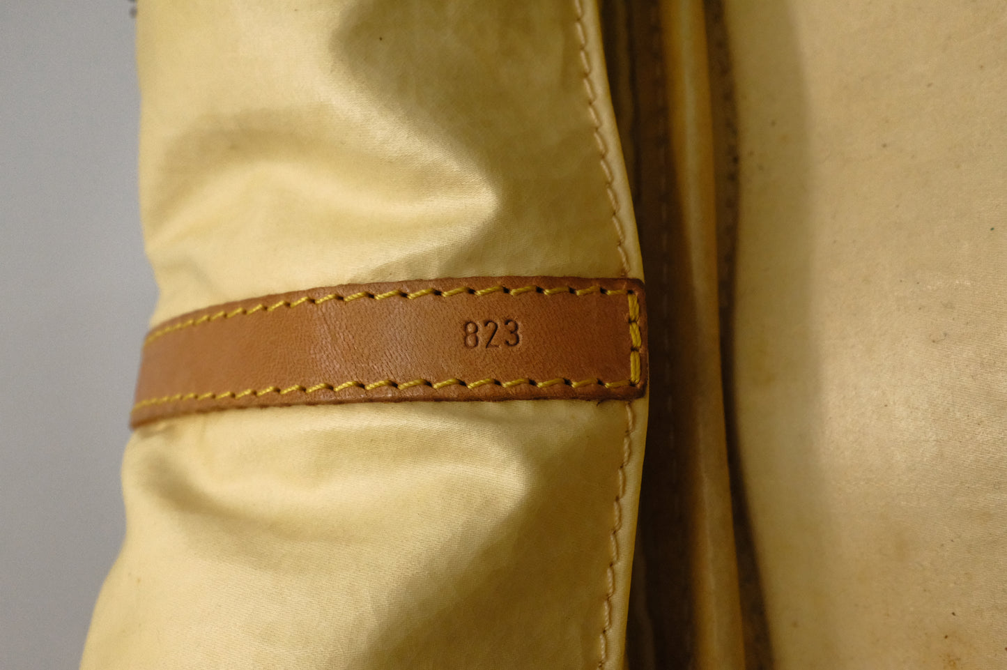 Louis Vuitton Sac Sport in Monogram Canvas