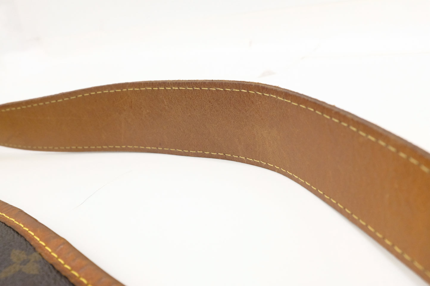 Louis Vuitton Delightful MM in Monogram Canvas