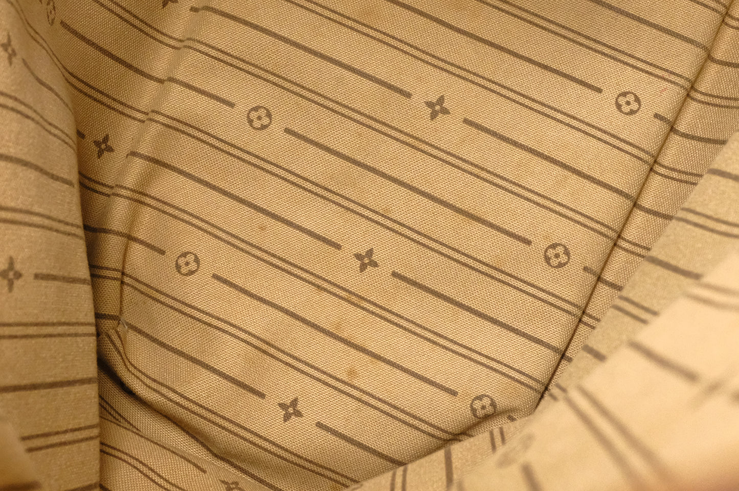 Louis Vuitton Delightful MM in Monogram Canvas